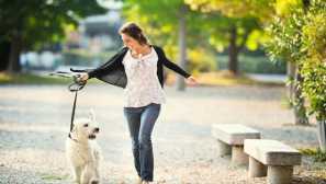 Pes místo fitness: kolik kalorií trávíme v péči o domácí zvíře